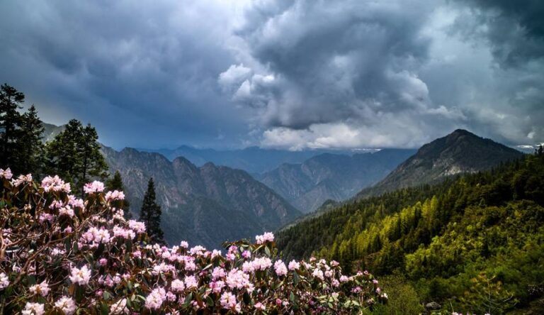 kasol